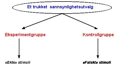 Felt eksperiment