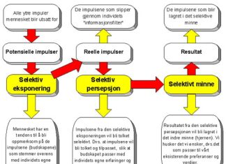 Medias påvirkningskraft (1950 – 1960-årene) : – “De maktesløse mediene”