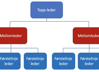 Toppledelse, mellomleder og linjeleder