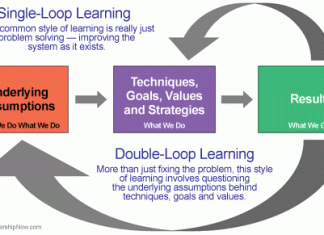 Double Loop Learning