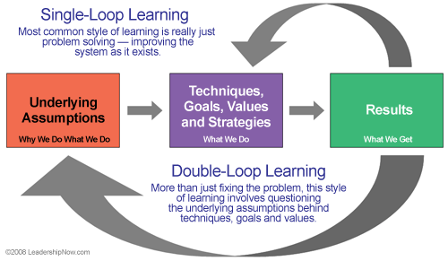 Double Loop Learning