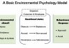 Environmental psychology model