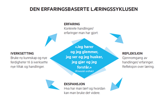 Erfaringslæring