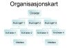 Organisasjonskart