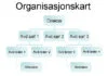 Organisasjonskart