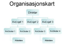 Organisasjonskart