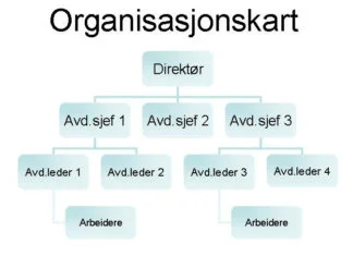 Organisasjonskart