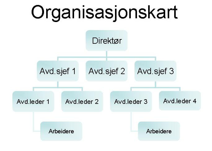 Organisasjonsformer og organisasjonsprinsipper