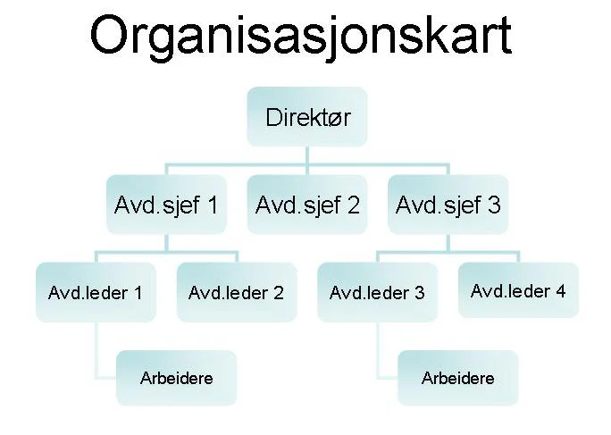 Organisasjonskart