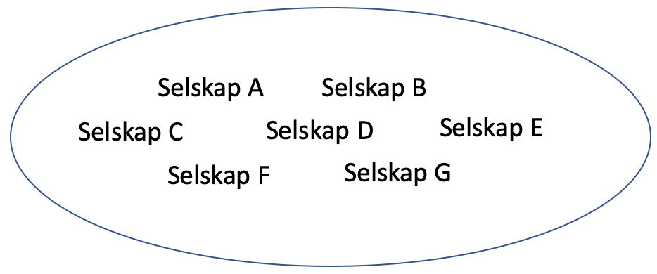 Aksjeportefølje