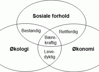 Bærekraftig utvikling