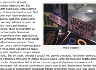 bildetekst