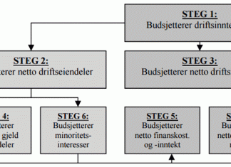 budsjettering-modell