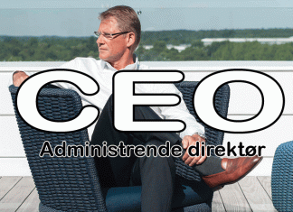 ceo - daglig leder