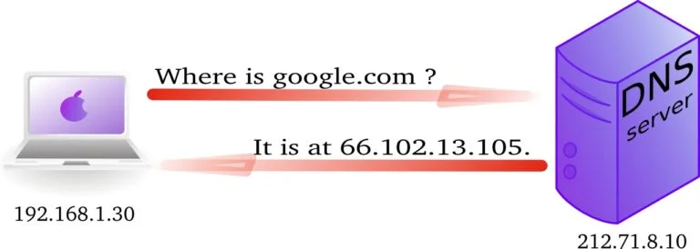 dns