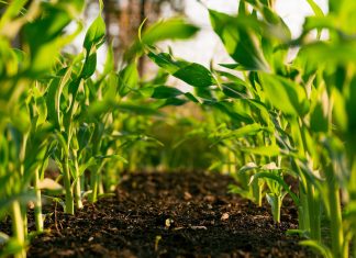 Miljøvennlig produkt