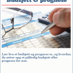 budsjett-prognose