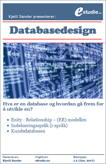 ebok-databasedesign