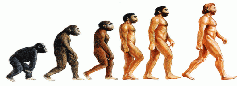 Darwin sin evolusjonsteori