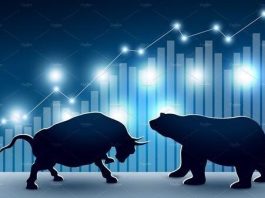 Bullmarked og bearmarked