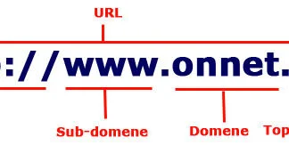 hva-er-et-domene