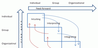 individuell-organisatorisk