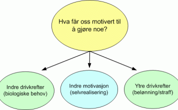 indre-motivasjon