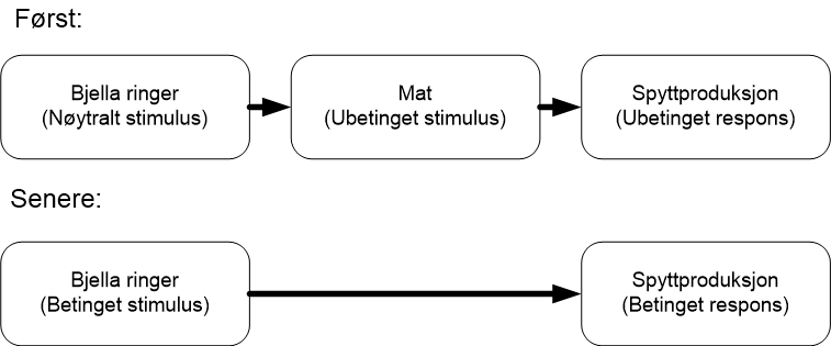 Kassisk betinging