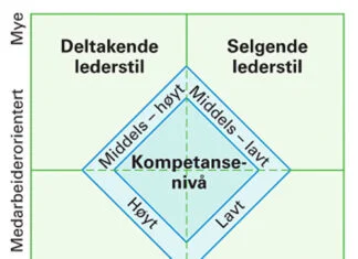 kompetanse-lederstil