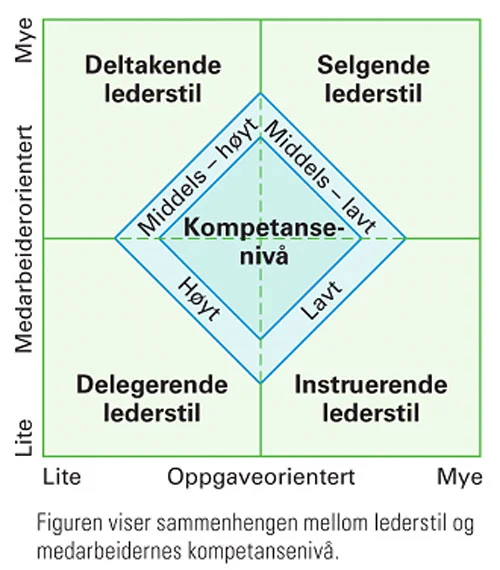kompetanse-lederstil