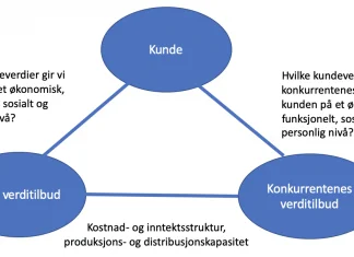 kundeverdianalyse
