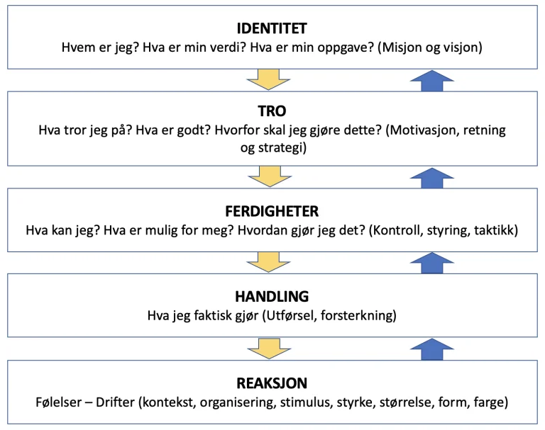 Logiske nivåer