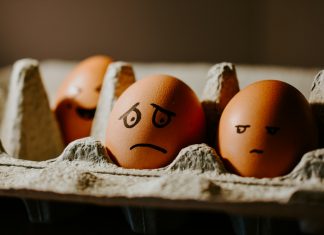 Teorier om emosjoner