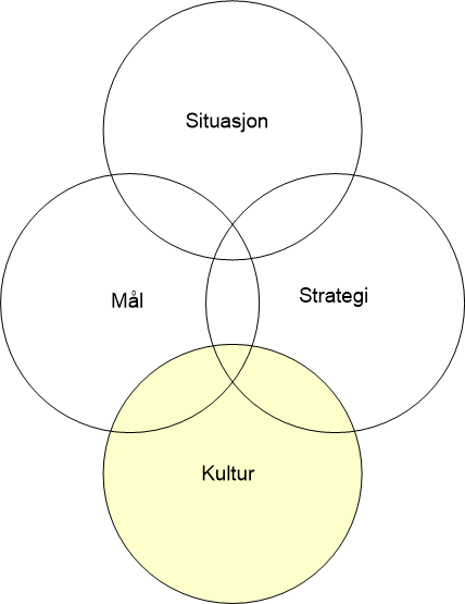 mål-strategi-kultur-situasjon