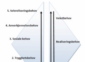 maslow-vs-erg teorien