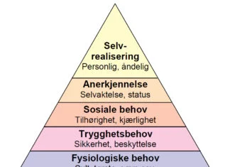 maslows-behovspyramide