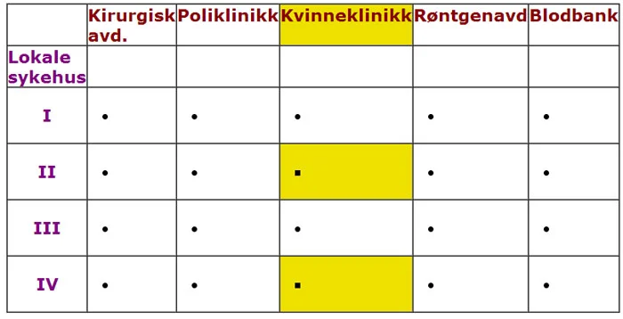 matriseorganisasjon