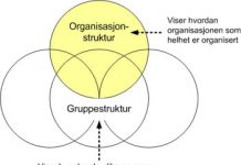 Organisasjon og gruppestruktur