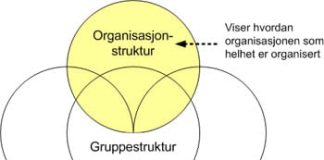 Organisasjon og gruppestruktur