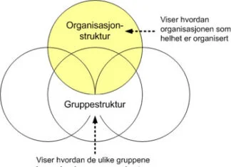 Organisasjon og gruppestruktur