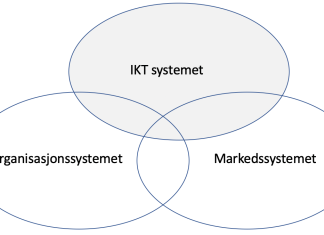 organisasjon-marked-ikt-system