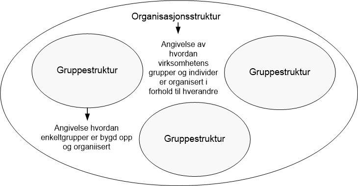 organisasjonsstruktur og gruppestruktur