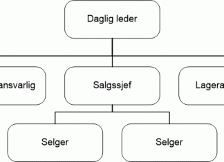 organisasjonskart