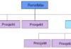 prosjekt-program-portefolje