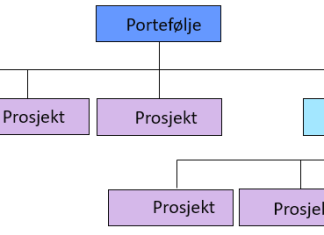 prosjekt-program-portefolje