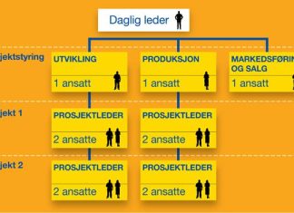 prosjektorganisering