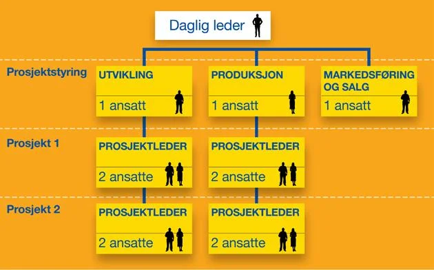 prosjektorganisering