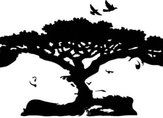 Prinsippet om kontinuitet Kontinuitet