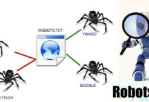 robots-txt