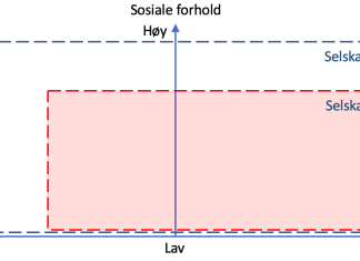 3E modellen (Economi, Ecology & Ethics – en modell for bærekraftig utvikling) Strategisk posisjonskart